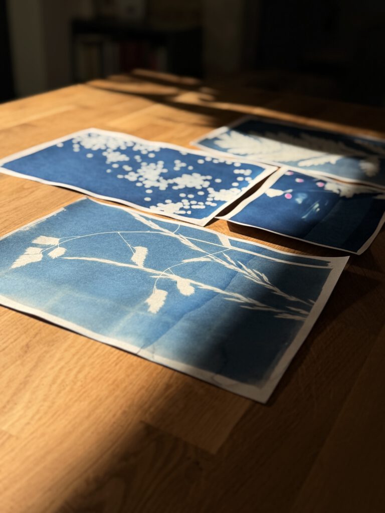 Cyanotypien im Sonnenlicht auf dem Holztisch