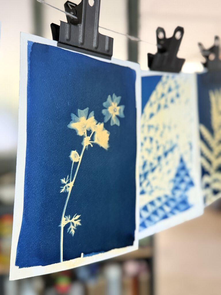 Cyanotypie mit Blüte zum Trocknen aufgehängt